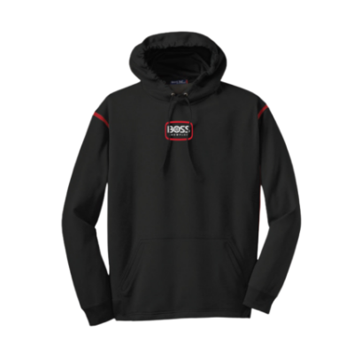 Image of the BOSS Mens DXT Hoodie with DXT and BOSS Snowplow graphic on the back